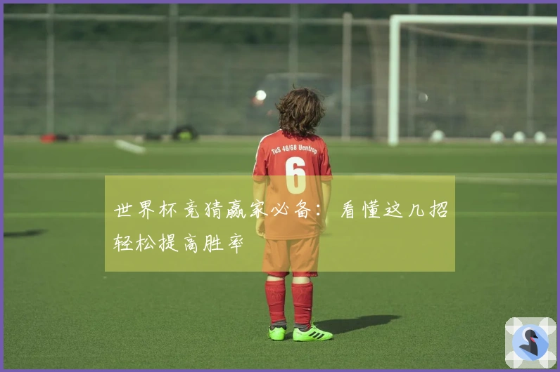 世界杯竞猜赢家必备：看懂这几招轻松提高胜率