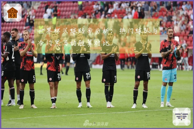 世界杯买球赔率分析：热门球队与冷门黑马的胜算对比