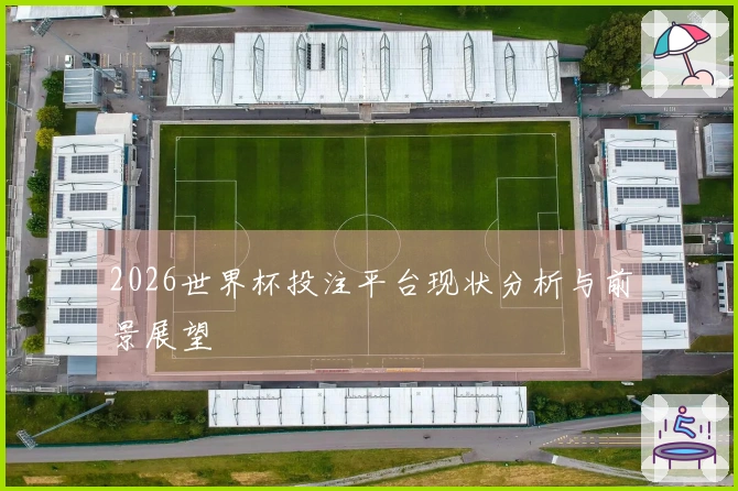 2026世界杯投注平台现状分析与前景展望