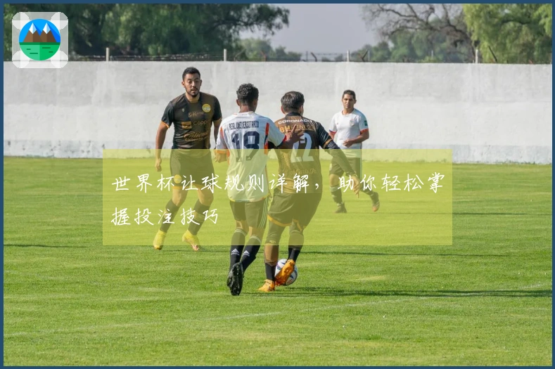 世界杯让球规则详解，助你轻松掌握投注技巧