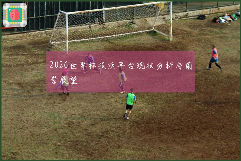 2026世界杯投注平台现状分析与前景展望