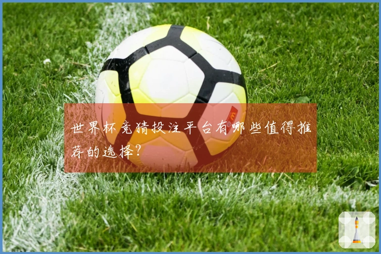世界杯竞猜投注平台有哪些值得推荐的选择？